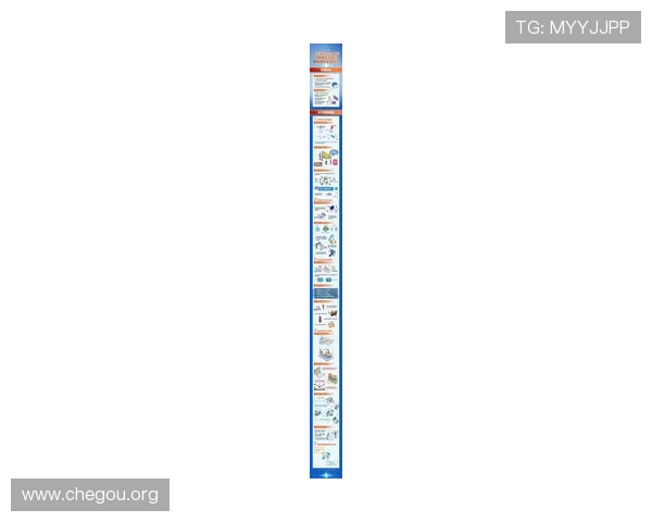 世界网站：助力用户快速获取国际最新动态与多元文化交流的优质渠道