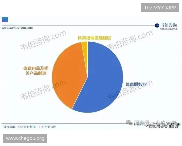 千亿国际体育在全球体育市场中的竞争优势与品牌影响力分析