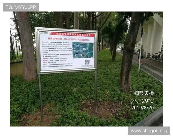 如何通过球友会登录入口安全登录账号，保障个人信息安全