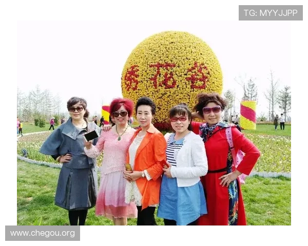 球友会官方网站电脑版的兼容性问题解决方案，确保在不同设备上都能顺畅运行